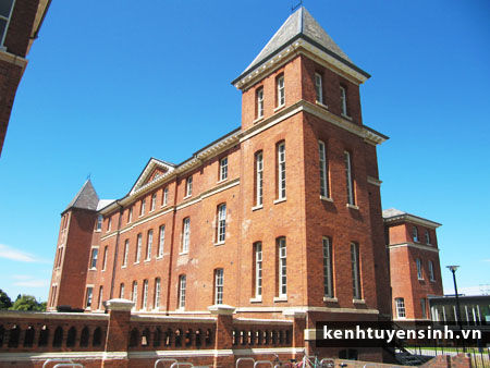 trường đại học worcester university uk