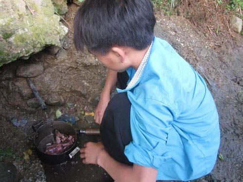 bua-com-thit-chuot_hs_turong_kim_bon bua-com-thit-chuot_hs_turong_kim_bon