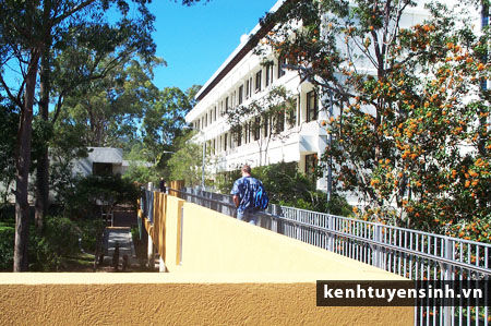 queensland institute business and technology, hoc vien quoc te, du hoc uc, hoc bong du hoc