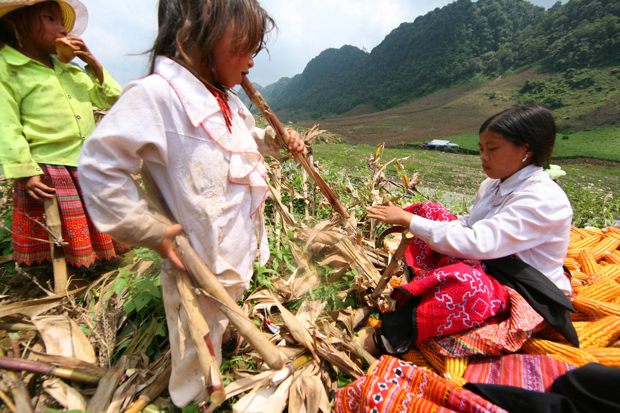 hoc_sinh_vung_cao_hoc_cach_tu_bang_la_ngon