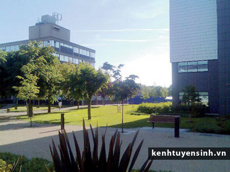 London International College of Business and Technology, cao dang quoc te, thu tuc du hoc anh, thong tin du hoc anh, hoc bong du hoc anh, dieu kien du hoc anh