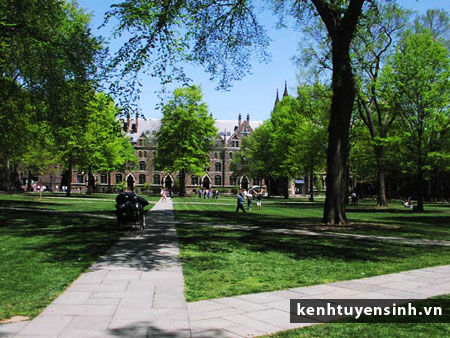 Du học New Zealand với đại học Canbury - Ảnh 1