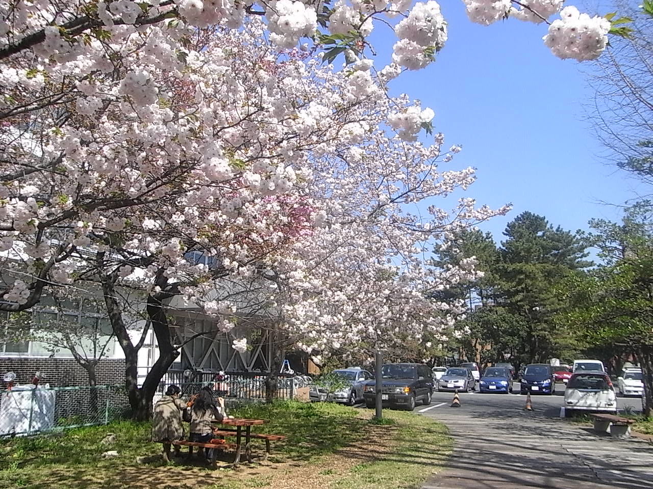 dai hoc tokyo, dai hoc quoc te nhat, thong tin du hoc nhat, hoc bong du hoc nhat,