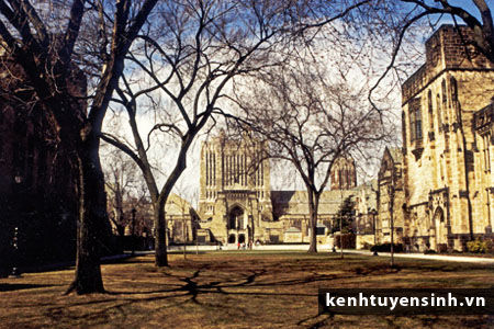 dai hoc quoc te Yale university Yale university, dai hoc quoc te, thu tuc du hoc my, thong tin du hoc my, hoc bong du hoc my, kinh nghiem du hoc my