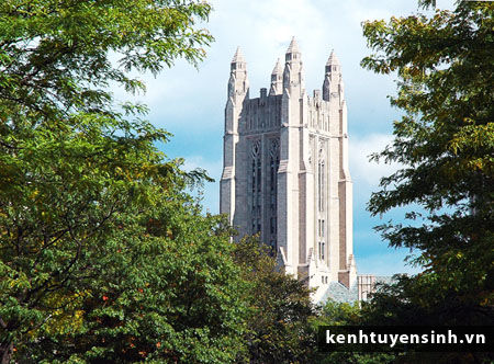 Yale university, dai hoc quoc te, thu tuc du hoc my, thong tin du hoc my, hoc bong du hoc my, kinh nghiem du hoc my