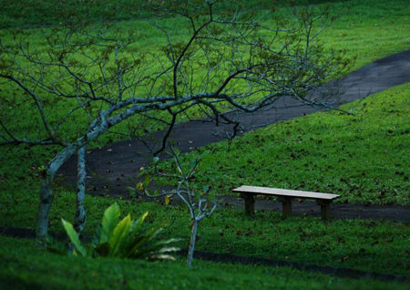 Trường đại học hàng đầu Singapore