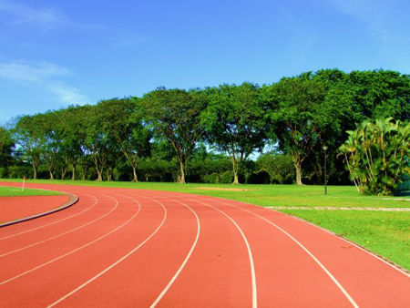 Trường đại học hàng đầu Singapore