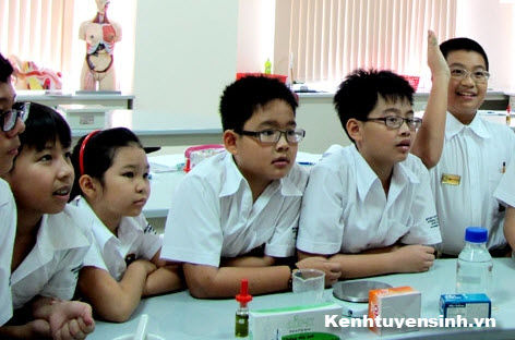 truong quoc te anh viet, British Vietnamese International School, truong quoc te BVIS