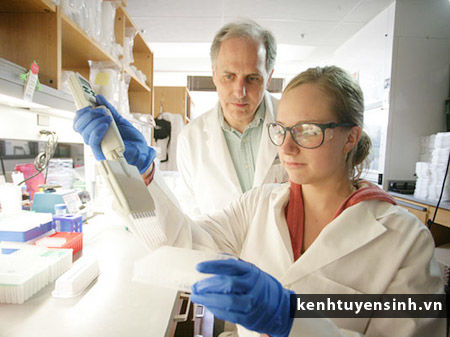 Tỷ lệ học sinh học môn Khoa học ở Victoria giảm mạnh