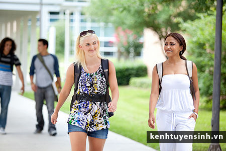 Dịch vụ làm giả hồ sơ du học Mỹ mọc lên như nấm Dịch vụ làm giả hồ sơ du học Mỹ mọc lên như nấm