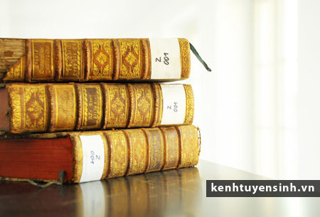 bat cap du thao luat giao duc bat cap du thao luat giao duc