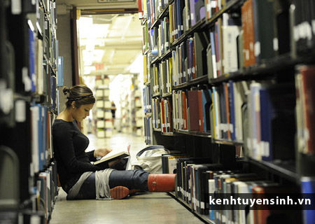 Hội thảo du học Mỹ: Đại học Pittsburg State