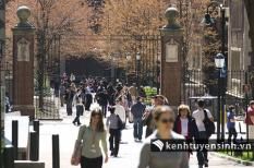 Cơ hội nhận học bổng và thi thử IELTS miễn phí
