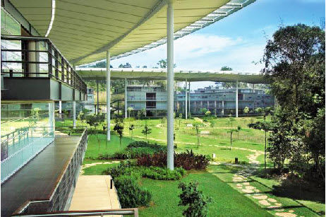 Trào lưu du học sớm của các bạn trẻ