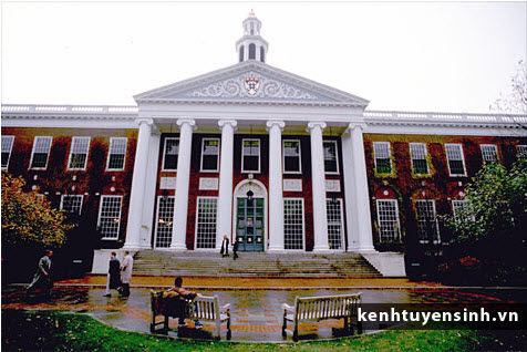 Top 10 trường kinh doanh tại Mỹ có số lượng đăng ký đông nhất