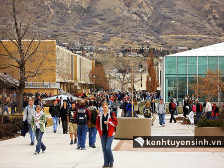 Trợ cấp xe bus dành cho học sinh bị cắt giảm tại Úc