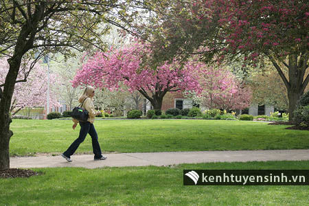 Học cấp 3 tại Mỹ có lợi gì khi vào Đại học?
