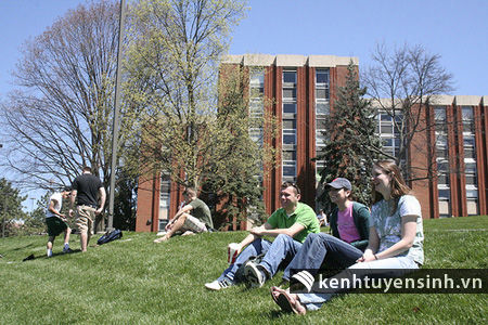 Thị trường việc làm tại Mỹ mở rộng cho sinh viên ngành kỹ thuật