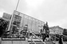 Study Group: Địa chỉ du học tin cậy