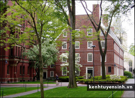 Bí quyết thành công của đại học Harvard