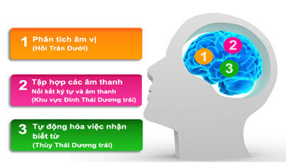 Quy trình học tiếng anh theo phương pháp Phonics