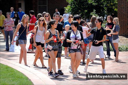 Recommendation Letter: Thư giới thiệu du học