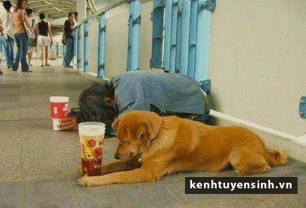 Bài học MBA từ người ăn mày