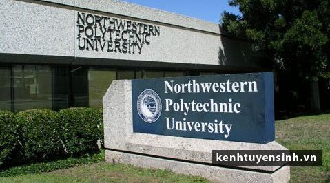 Học và nhận bằng MBA của Mỹ ngay tại Việt Nam