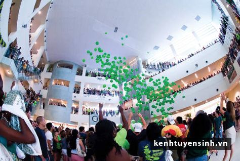 Giảm 50% học phí khi đăng ký học tại các trường danh tiếng