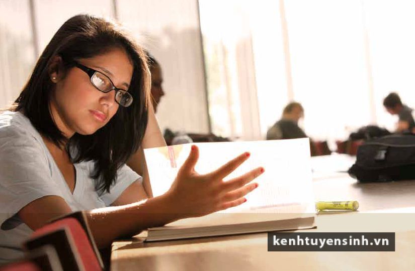 Chương trình học bổng giao lưu văn hoá Mỹ năm 2013 tại ILA Vietnam