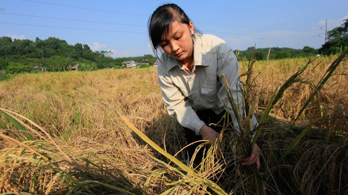 Gập ghềnh đường đến đại học