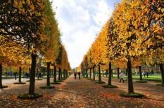 Xa nhà, con biết phải tự mình đứng dậy khi chẳng may bị gục ngã