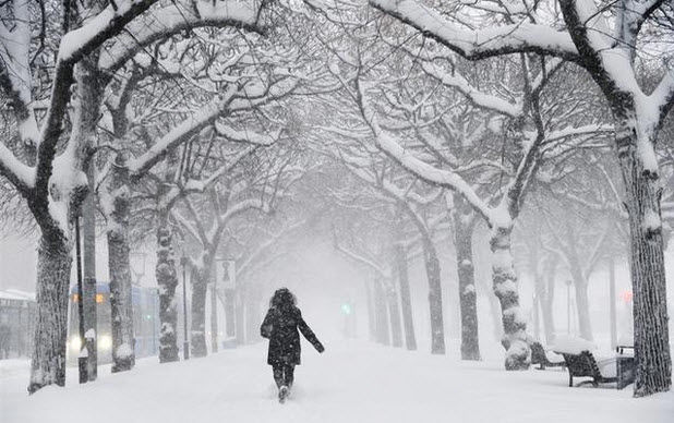 Du học Mỹ: Chẳng như là mơ!