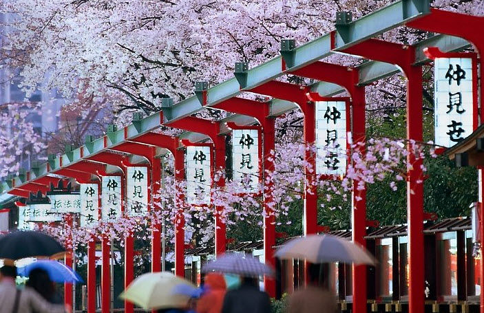 Học bổng Thạc sĩ từ Quỹ tiền tệ Quốc tế Nhật Bản