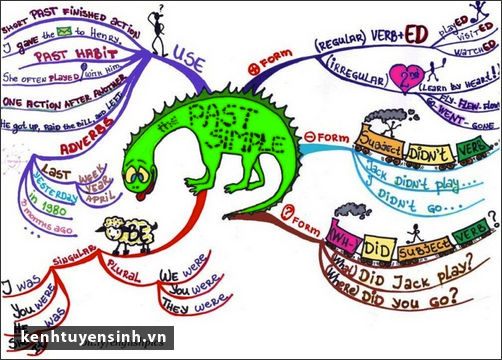 Người bản ngữ sử dụng các thì tiếng anh trong giao tiếp như thế nào?