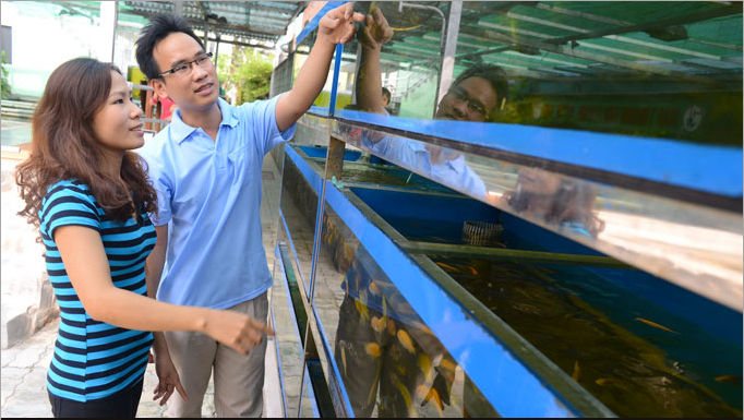 Học cao vẫn thất nghiệp: Lỗi do đào tạo