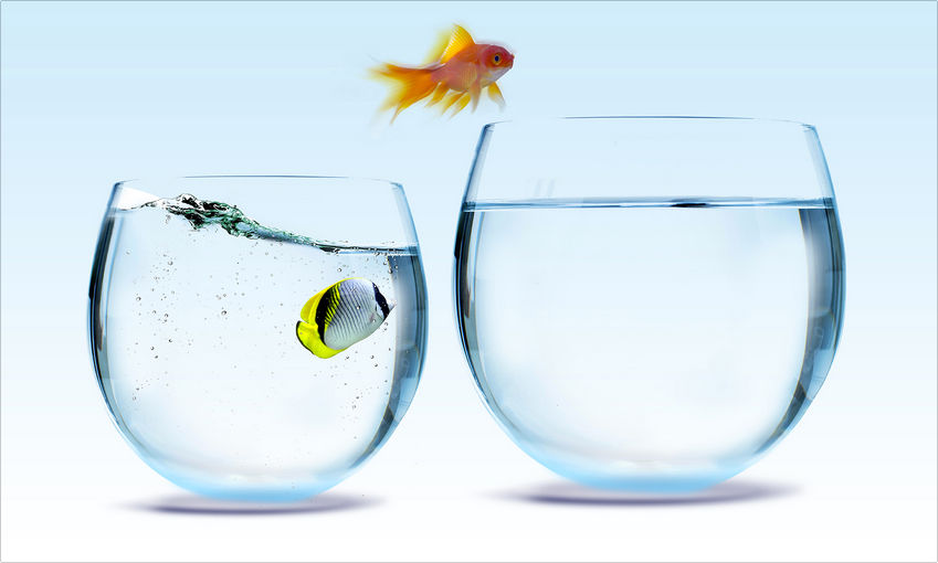 10 nguyên tắc sống giúp bạn luôn cảm thấy tự tin