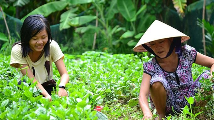 Con đậu thủ khoa, mẹ bán bò đóng học phí