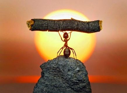 Kỹ năng khám phá bản thân và định hướng nghề nghiệp