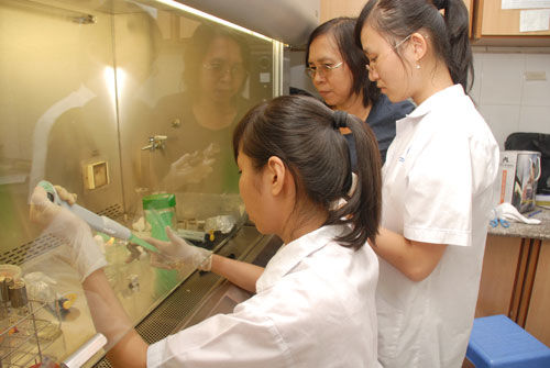 Chặt chẽ kiểm định giáo dục đại học