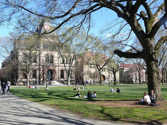 10 trường Đại học "xanh" chất lượng khi lựa chọn du học Mỹ