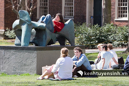 Tiến trình xin visa du học Mỹ