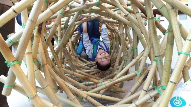 Dạy chuyên kiểu "gà chọi", học sinh đuối sức