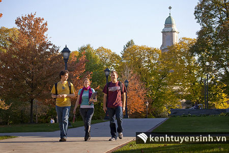 Nên chọn điểm đến du học nào trong năm 2017?