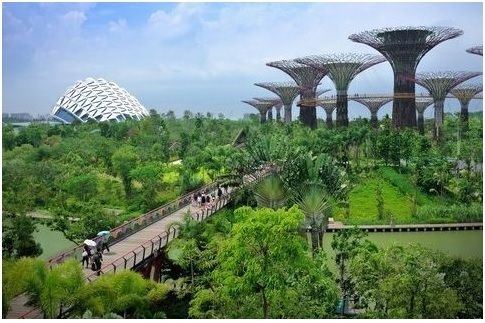 Giáo dục Singapore: Chất lượng châu Âu giữa lòng châu Á