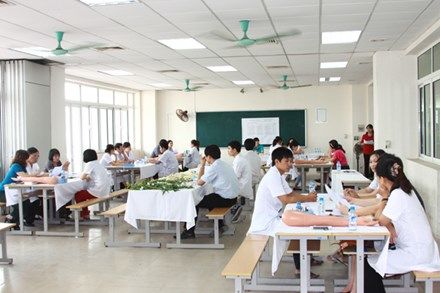 Lo bị bóp chết, các trường trung cấp y dược kêu cứu