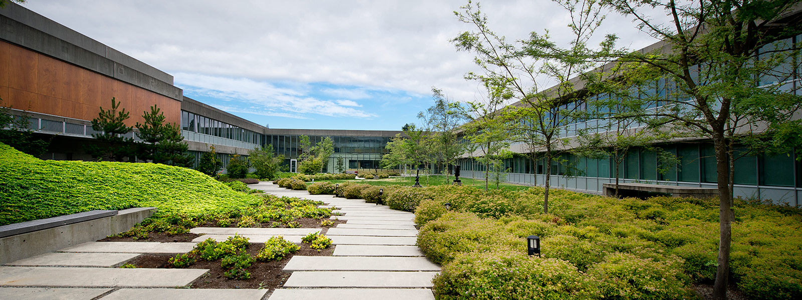 Du học Canada cùng Đại học Simon Fraser