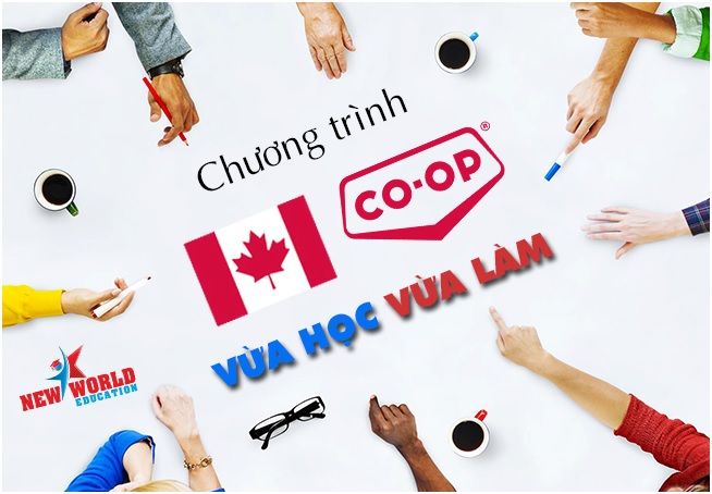 Chương Trình Thực Tập Co Op Canada Hút Du Học Sinh Quốc Tế Cùng Visa ưu