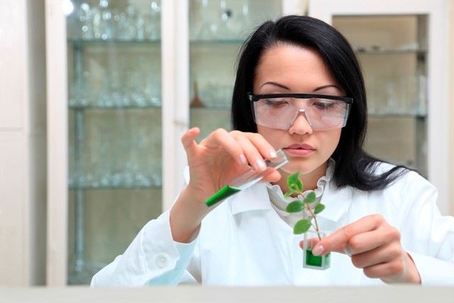 Top 5 ngành du học sinh nên chọn để có cơ hội việc làm cao