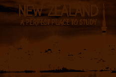 Du học tiến sĩ tiết kiệm chi phí tại New Zealand